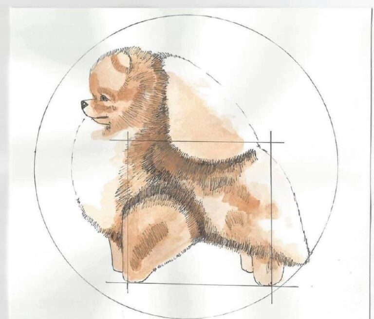 Chó Pomeranian màu nâu vàng, kích thước nhỏ, ngồi tư thế chính diện, được vẽ bằng bút chì màu.