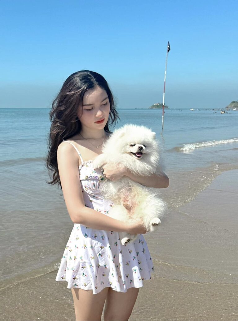 Chó Pomeranian lông trắng được b抱 ở bãi biển, nền là biển và bầu trời xanh