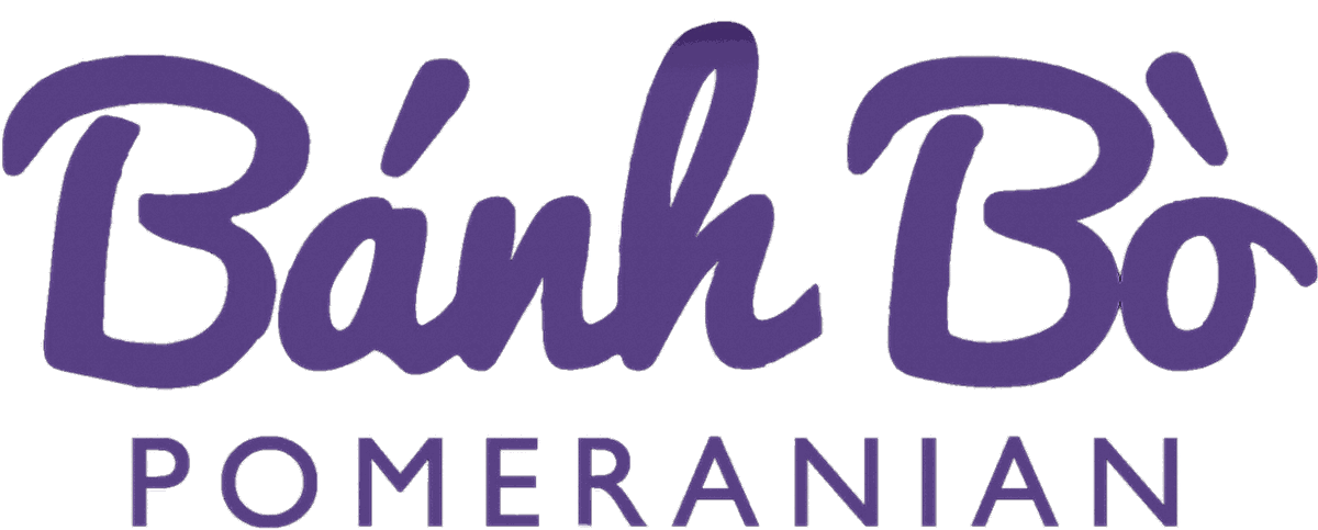 Logo trại chó Pomeranian Bánh Bò Pom
