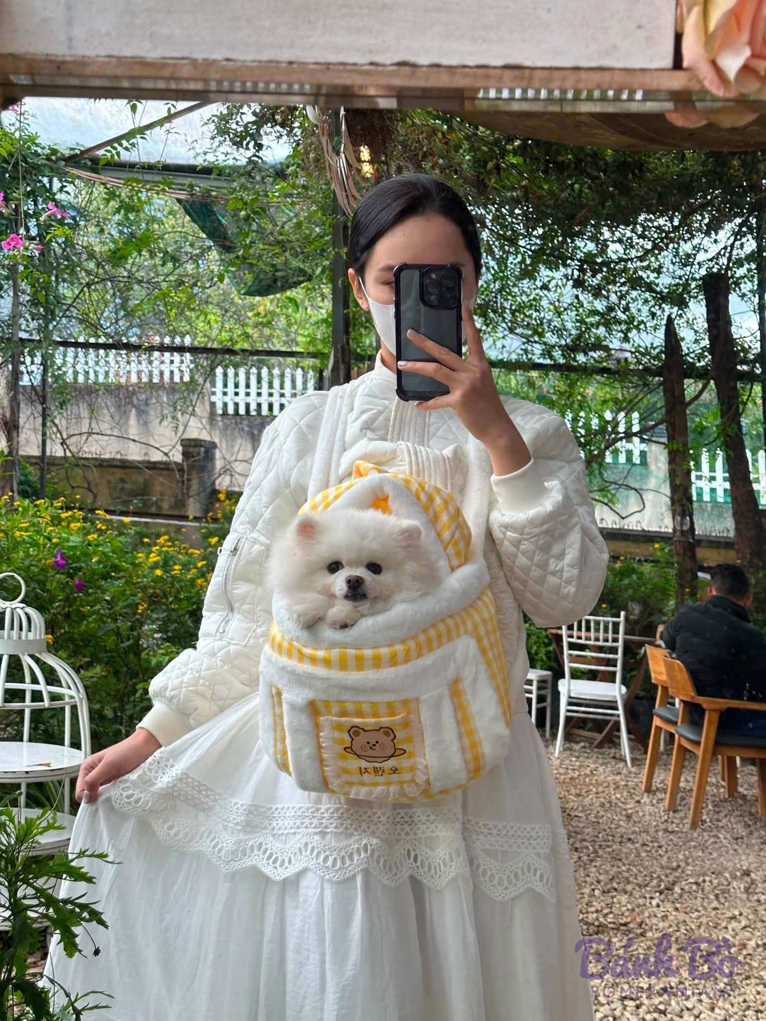Chó Pomeranian lông trắng mặc túi vải vàng trắng, ngồi trong vườn quán cà phê