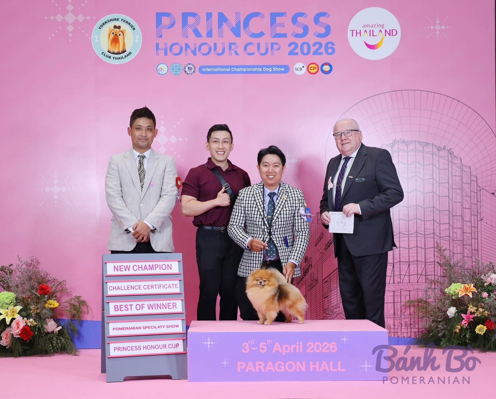 Chó Pomeranian màu nâu đứng trên sân khấu tại sự kiện Princess Honour Cup 2026